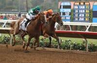 Stellar Wind outduels Beholder in the Clement L. Hirsch