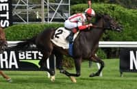 Saratoga: Brown enters 4 in pursuit of 5th Lake Placid win