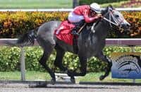 Sweetontheladies Making Good for Collazo