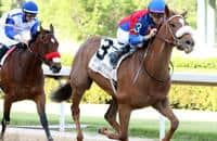 Alpine Princess wins Untapable, gaining Ky. Oaks points