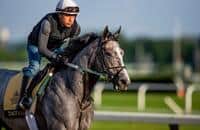 Report: Tacitus out of Dubai World Cup due to minor injury