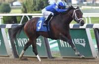 Takaful could use Aqueduct's Toboggan Stakes as Dubai springboard