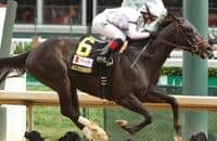 Take Charge Indy will stand stud in South Korea in 2017