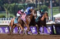 Tamarkuz cruises to victory in the Breeders’ Cup Dirt Mile