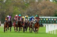 Tampa Bay Downs posts across-the-board gains for 2024-25 meet