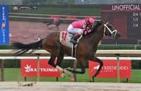 Speed figures: Tapit colt leads Sunday's maiden winnners