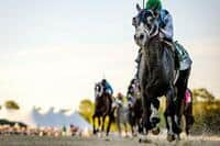 Will Tapwrit continue Tapit’s recent Belmont Stakes Success?