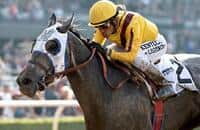 Godolphin spends $2 million on ‘possible stallion’ out of Tara’s Tango