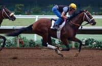 $1 million baby Tatters to Riches ready for Del Mar Futurity