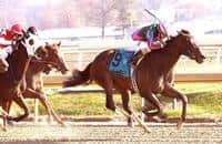 Tequilita Hopes to Extend Win Streak in Forward Gal