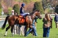 Kentucky Downs: Nashville Derby leads big-money Saturday