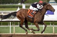 Texas Red going Old School in the San Vicente