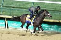 Breeders' Cup Classic notes: Tom's d'Etat follows Blame's path