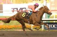 Top Fortitude Stretches Out in Sham