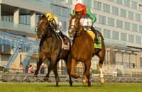 Canada: Touch’n Ride carries Kimura to Breeders’ victory