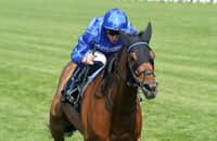 Royal Ascot: Trawlerman's record run lands Gold Cup 