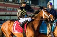 Hedge Fund, True Timber knock heads in Sir Barton