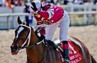 2014 Dubai Sheema Classic G1 - Race