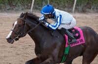 Will the BC Juvenile be a Key Race on the 2015 Kentucky Derby Trail?