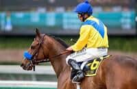 Vale Dori makes short work of five rivals in Santa Maria