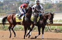 Vodka With a Twist leads field of 10 in Charles Town Oaks