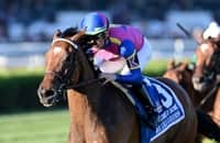 Zipse: Breeders' Cup-bound War Like Goddess is a turf monster