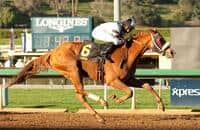 Sharp Mare Warren's Veneda Heads Santa Margarita
