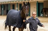 Catalano is a survivor blessed with 3 Breeders’ Cup long shots