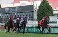 Seal Team Puts In Gutsy Stretch Run To Take G2 Twilight Derby - Horse  Racing News