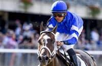 2015 Breeders' Cup Distaff: The Contenders