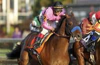 West Coast retired; Lane's End Farm announces new stud fees