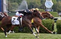Wise Dan by a Nose in the Bernard Baruch