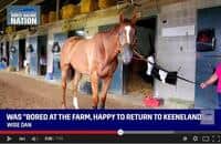 Wise Dan doing well, “Real Well” (VIDEO)