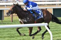 Report: Appleby will run With the Moonlight in New York Stakes