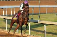 Workouts and Analysis for the 2015 Breeders' Cup Distaff