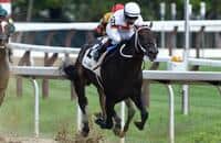 Yaupon wins Saratoga's Amsterdam, stays undefeated for Asmussen