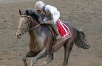 Lintner: WinStar’s Breeders’ Cup Classic hopes lining up