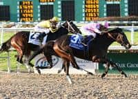 Zardana Seeks Rebound in Bayakoa