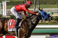 Dr. Schivel overcomes broken rein and airs in Santa Anita Sprint