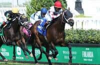 Breeders' Cup 2020: Picking the Classic, Mile and more