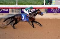 Full Serrano attends fast pace, wins Breeders' Cup Dirt Mile