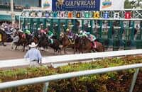 Florida Derby: Scopri dove Greatest Honour e i rivali sono stati sorteggiati