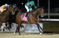 Hush of a Storm, Gretzky the Great lead Jeff Ruby Steaks field