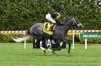 Flavien Prat wins 5 at Aqueduct, including 2,000th career victory