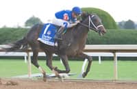 Favorite Juju's Map wins the G1 Alcibiades to secure BC berth