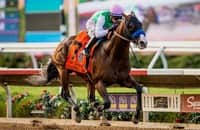 Laurel River, Bran scratch from Breeders' Cup Saturday