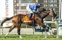 Mo Forza, Smooth Like Strait ready for rematch in City of Hope