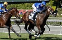 Mo Forza gets up in time in G2 City of Hope Mile; Breeders' Cup awaits
