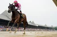 Spa roundup: Book'em Danno, Nitrogen, A. P. Kid are winners