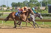 Oeuvre tops $1 million mark after stakes win at Hawthorne